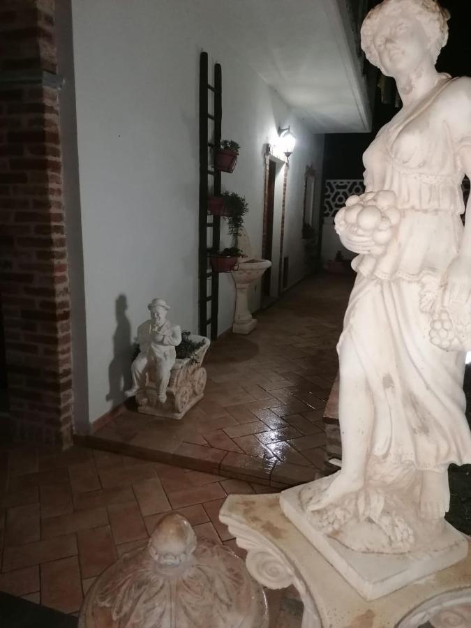 Ca Reginella B&B Diano dʼAlba Dış mekan fotoğraf